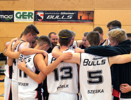 Bulls Herren vs. SG Greifswald